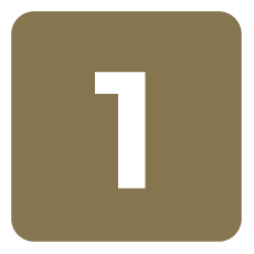 The number 1